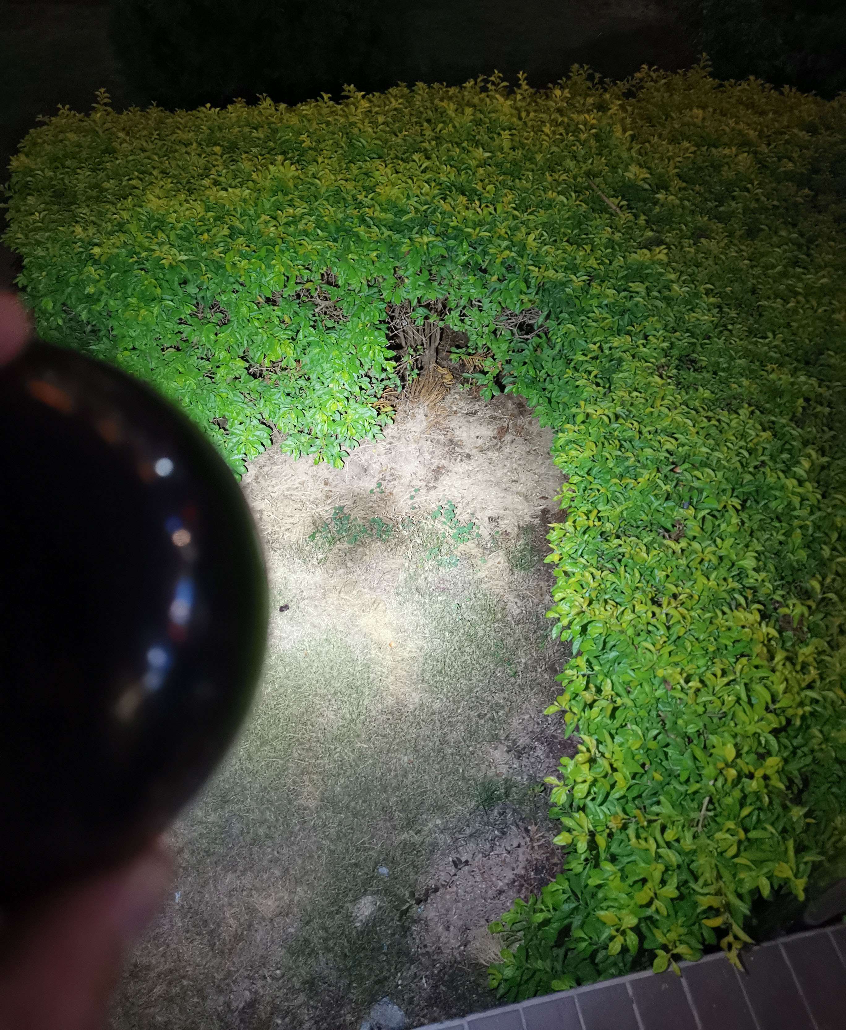 1574912739922325.jpg 1574912739922325.jpg