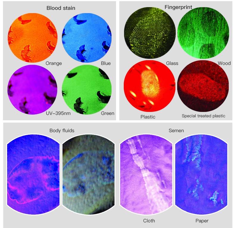 1726653437644801.jpg CI02-Product-Page-EN_06.jpg