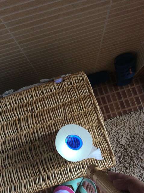  寶媽買了紫光手電，衣服上好多熒光劑，看的心慌害怕