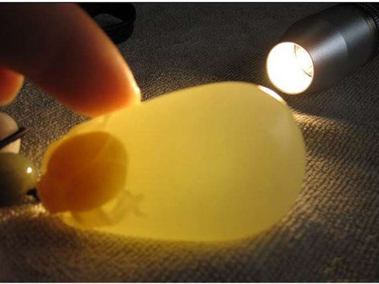 玉石用照玉手電筒白光和放大鏡看的是什么？